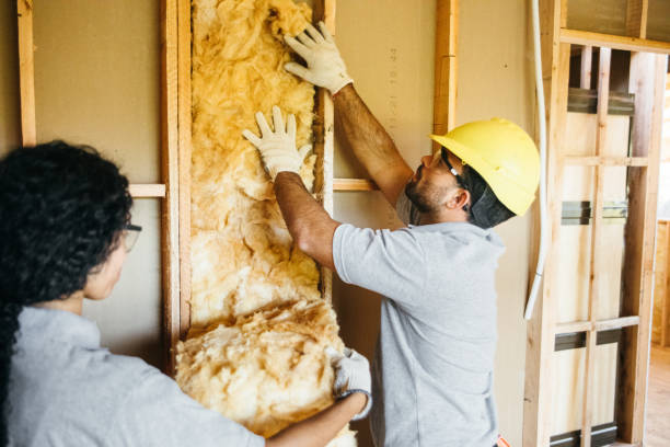 Types of Insulation We Offer in Port Gibson, MS